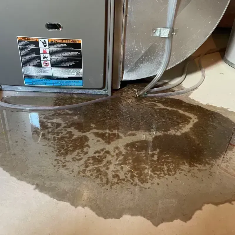 Appliance Leak Cleanup in Pigeon Forge, TN